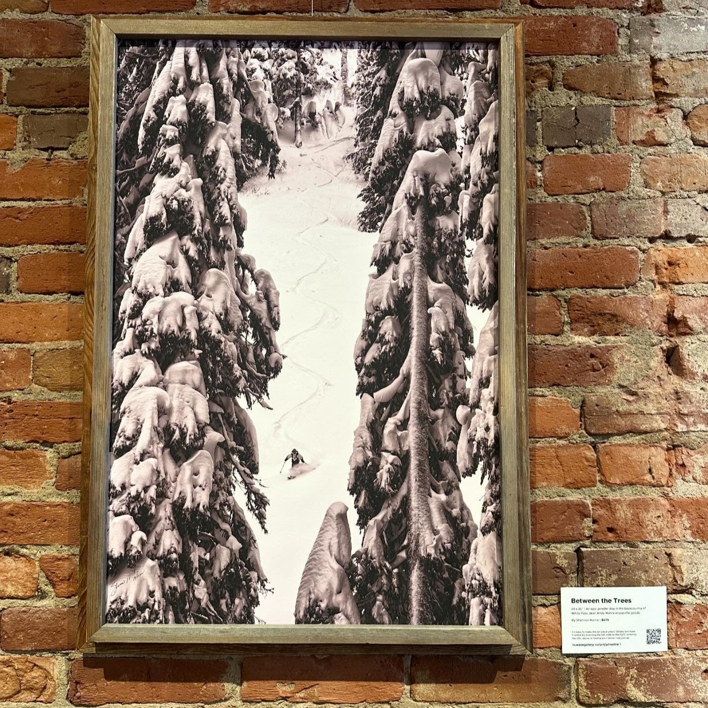 "Between the Trees" PHOTOGRAPH ON CANVAS WITH BARN WOOD FRAME