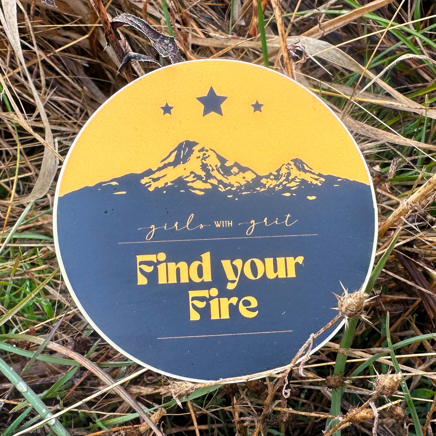 FIND YOUR FIRE sticker
